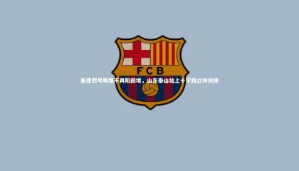 哈哈体育app：崔康熙号辉煌不再陷困境，山东泰山站上十字路口待抉择